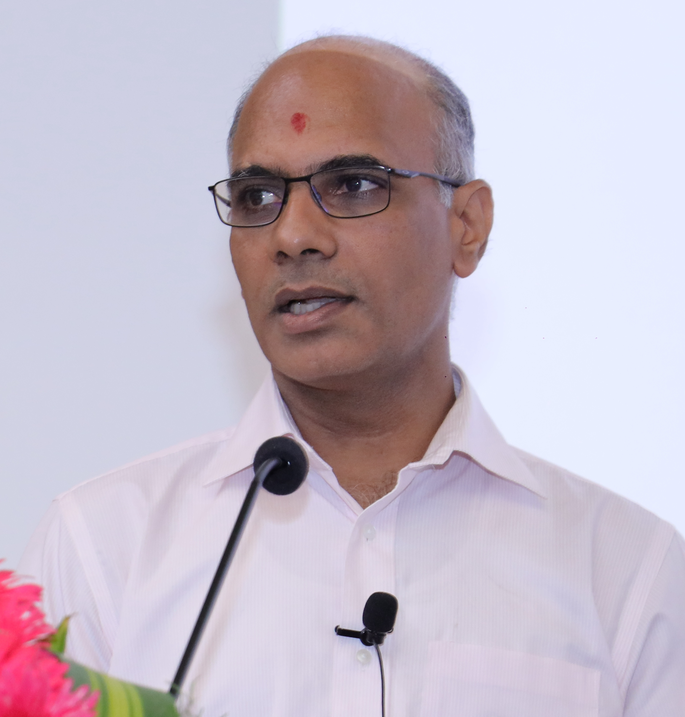 Prof. Krishna N